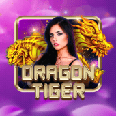 Dragon Tiger live casino on OKBet App Login